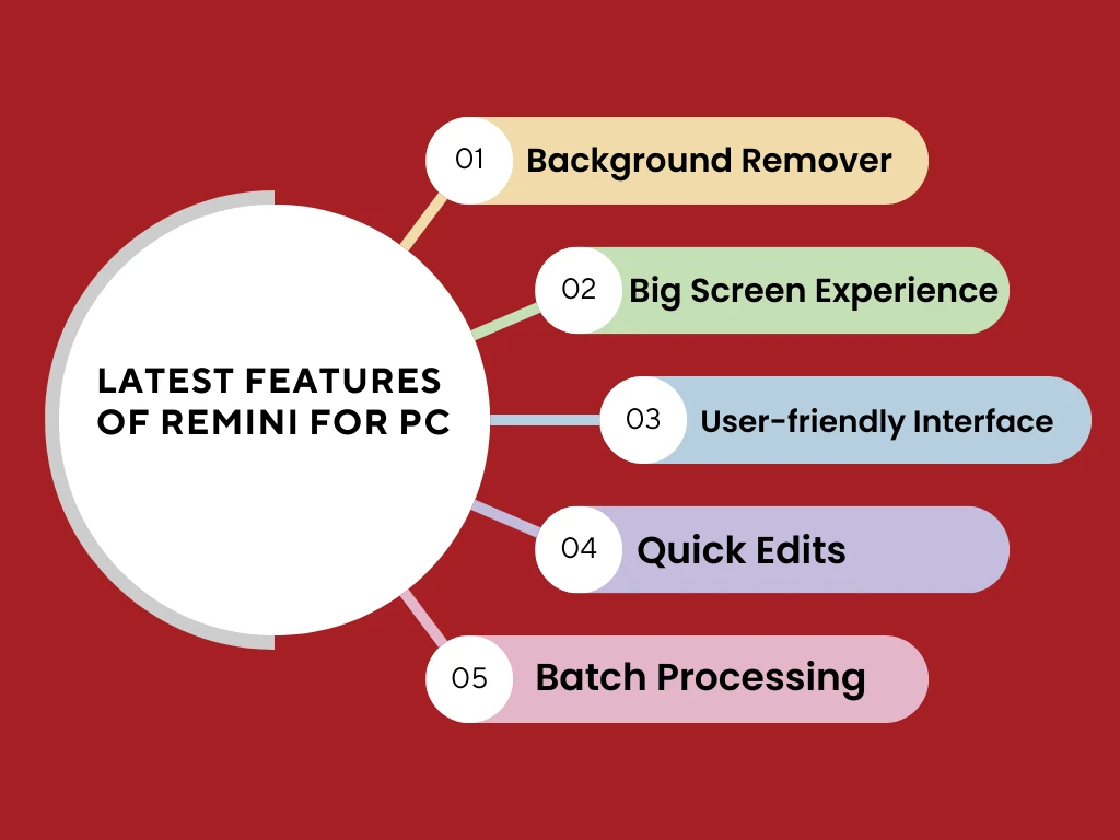 Remini PC Infographic